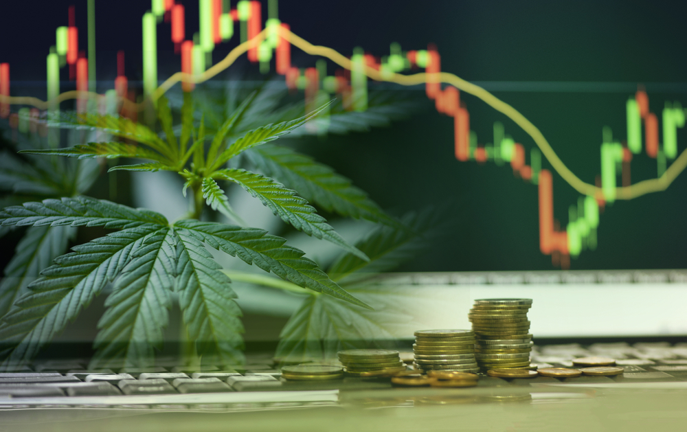 image representing market volatility in cannabis industry - by Resumeble